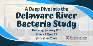 a deep dive into the DE bacteria study banner